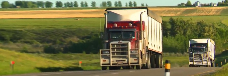 Trucks Trucks