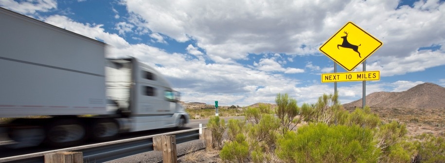 Truck and Trailer on Highway