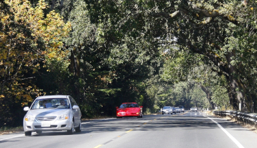 Keeping Your Vehicle Longer or Driving it More? Passenger Cars