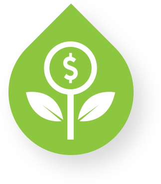 Money flower icon Money flower icon