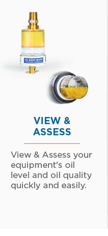 View and Assess